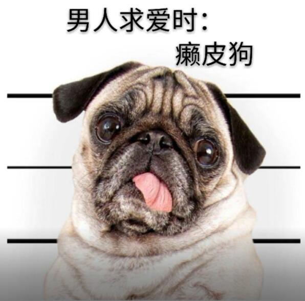 男人和女人结婚前后的区别,是不是躺着也中枪了