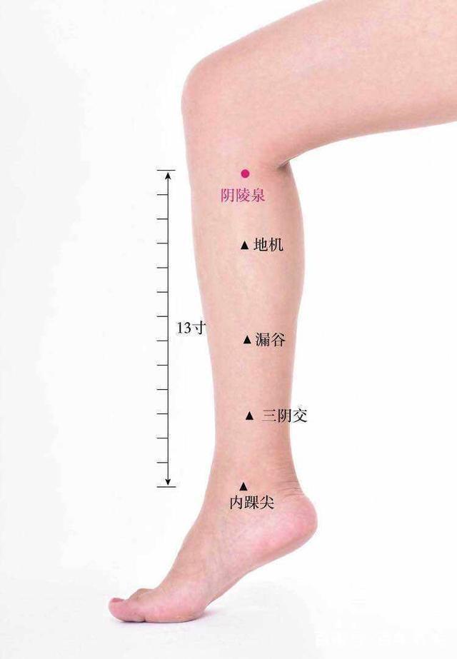 丘墟的准确位置图图解图片