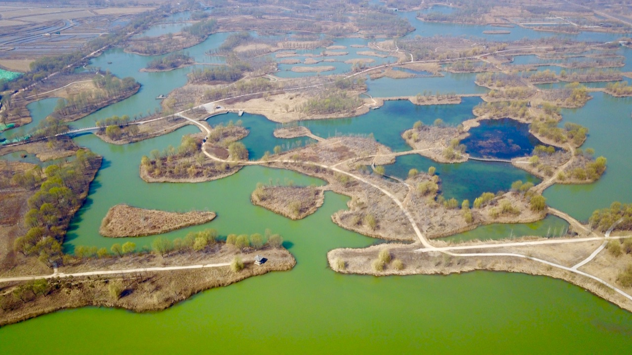 航拍济西国家湿地公园!春意盎然景迷人