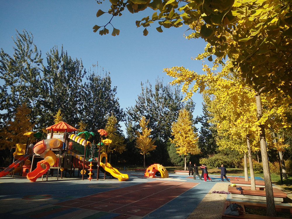 亦庄博大公园适宜游玩,你知道这里吗?