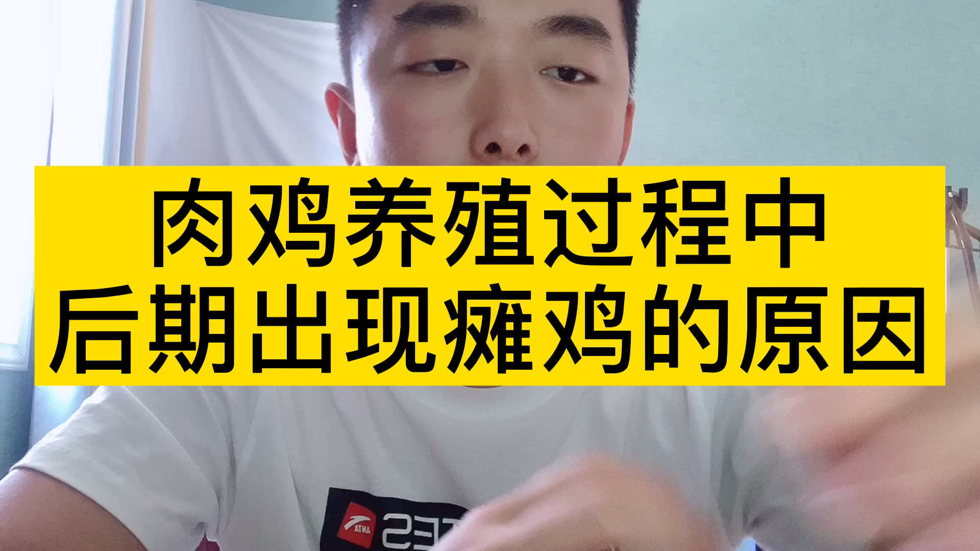 养肉鸡过程中,后期容易出现瘫鸡的几大原因