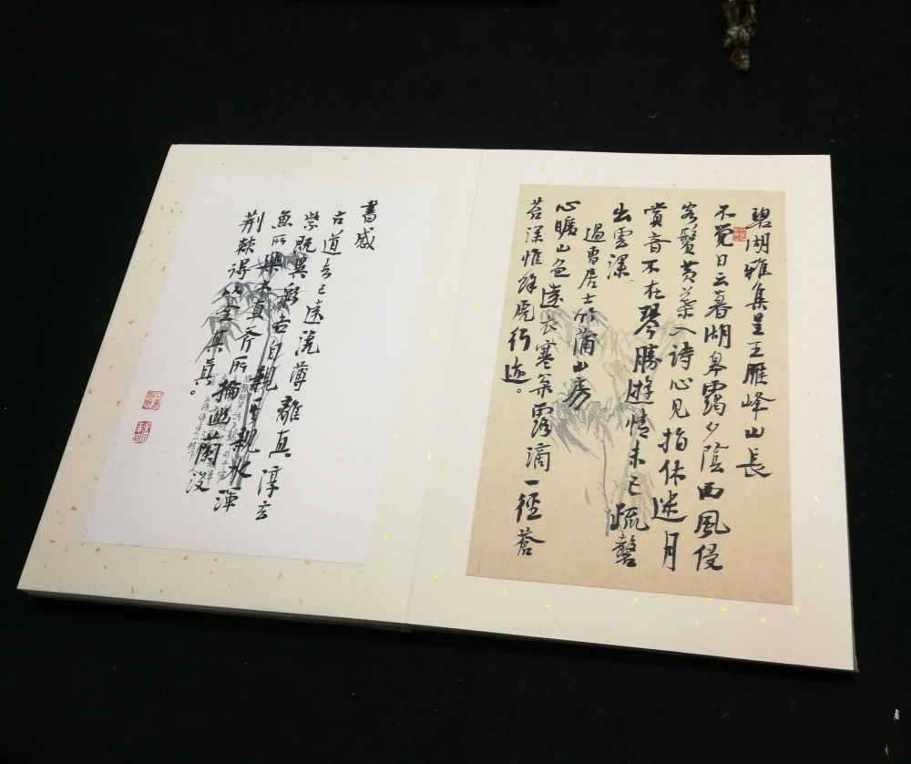 全国册页展作品:书法高超,形式文雅