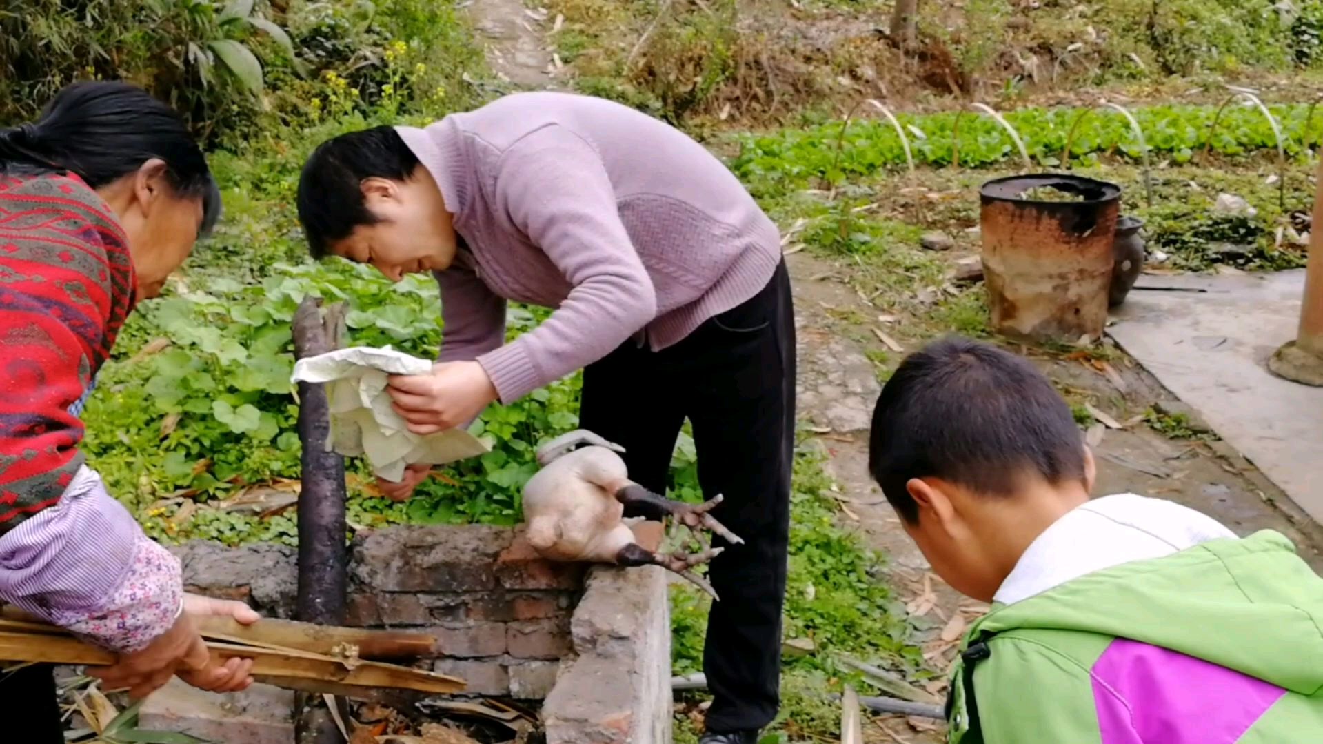 农村土鸡好重,乌骨鸡乌皮鸡,炖两锅吃了好干活!