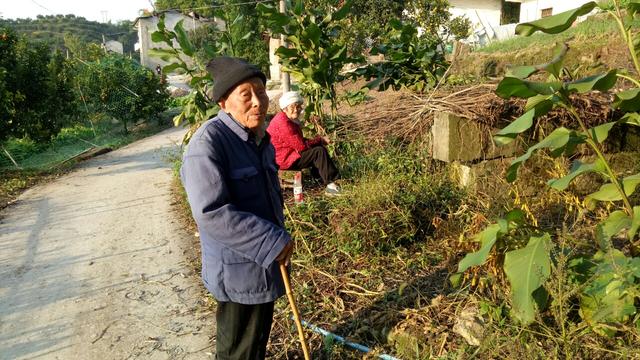 空心村老人村下如何让老人安享晚年,在农村接触多位老人后有感