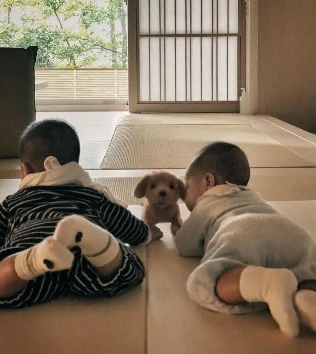 五月天玛莎娇妻晒龙凤胎可爱背影照,网友被装饰风格吸引:好漂亮