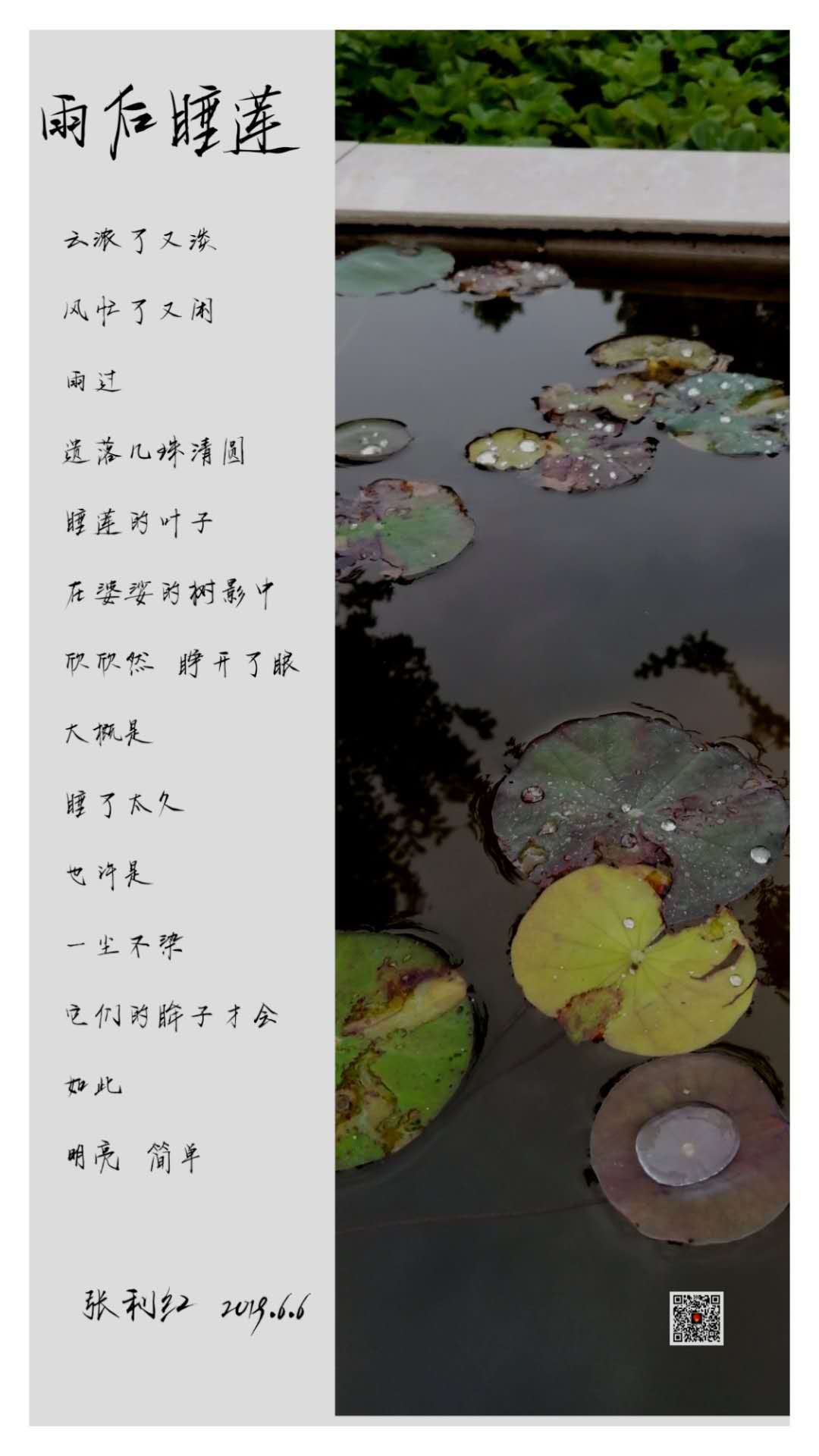 现代诗三首:雨过,遗落几珠清圆