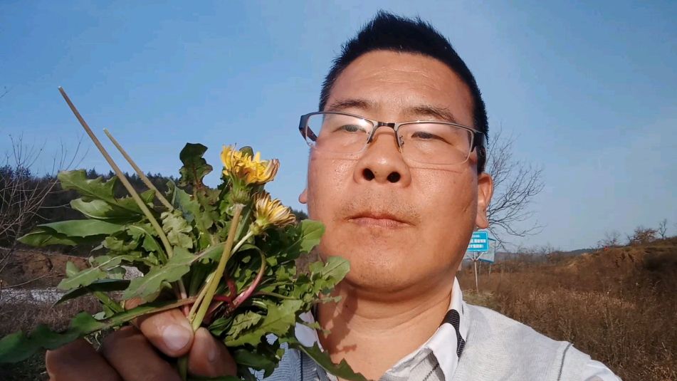既可食用,又可入药的这种中草药有人认识吗?还有美容养颜功效哦