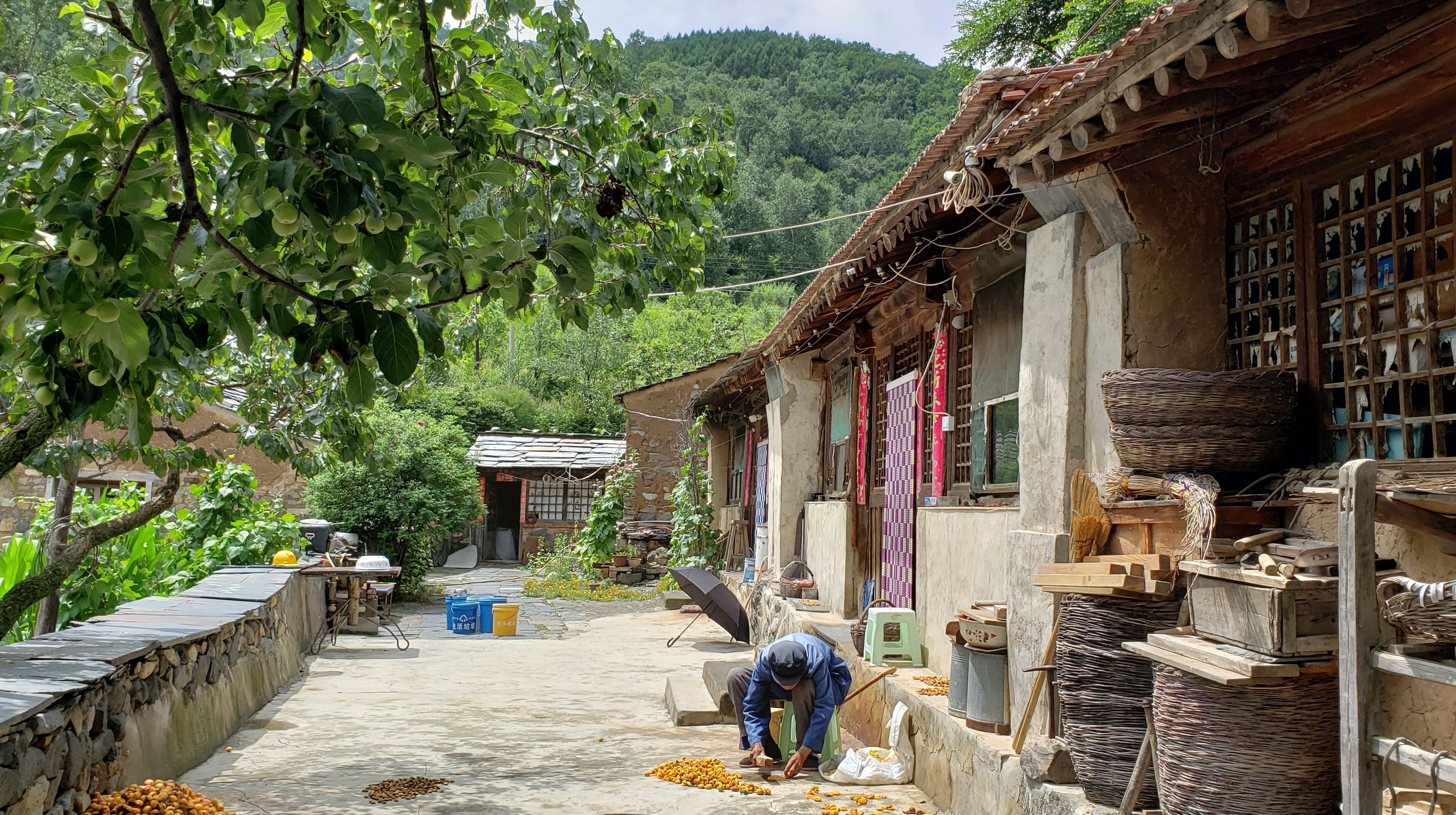隐藏在大山深处的农家院落