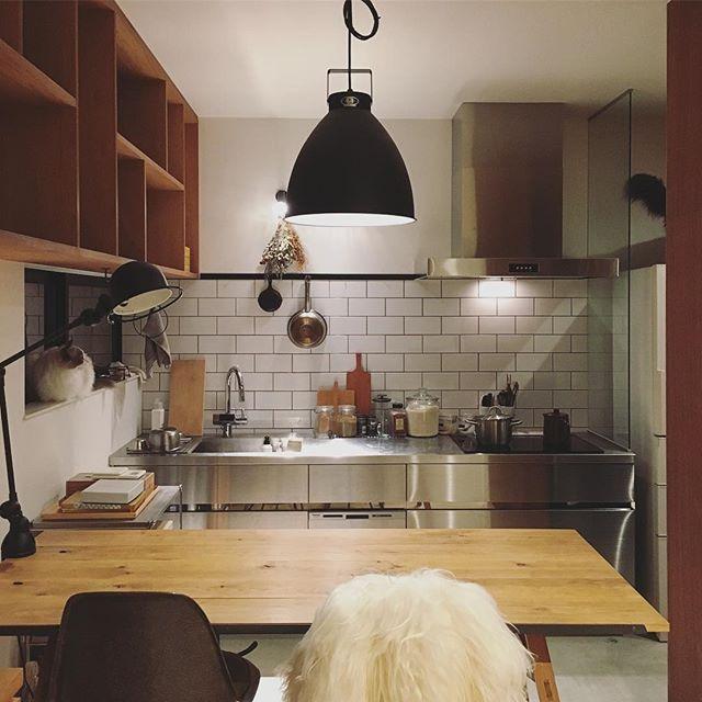 猫奴的家,两只猫与一个人的小窝,这么精致的家,谁能不爱