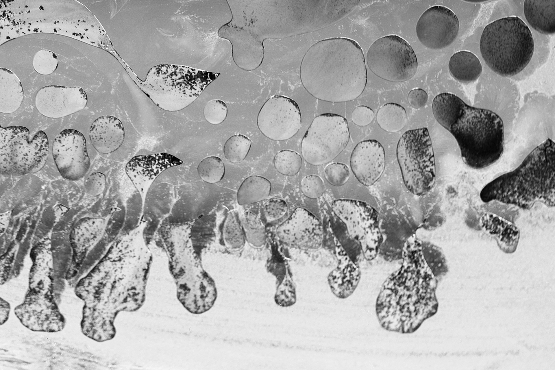 历史上的今天,合成结晶牛胰岛素