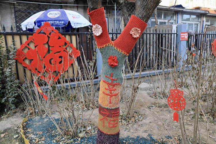 中关村街道 认养大树穿新衣