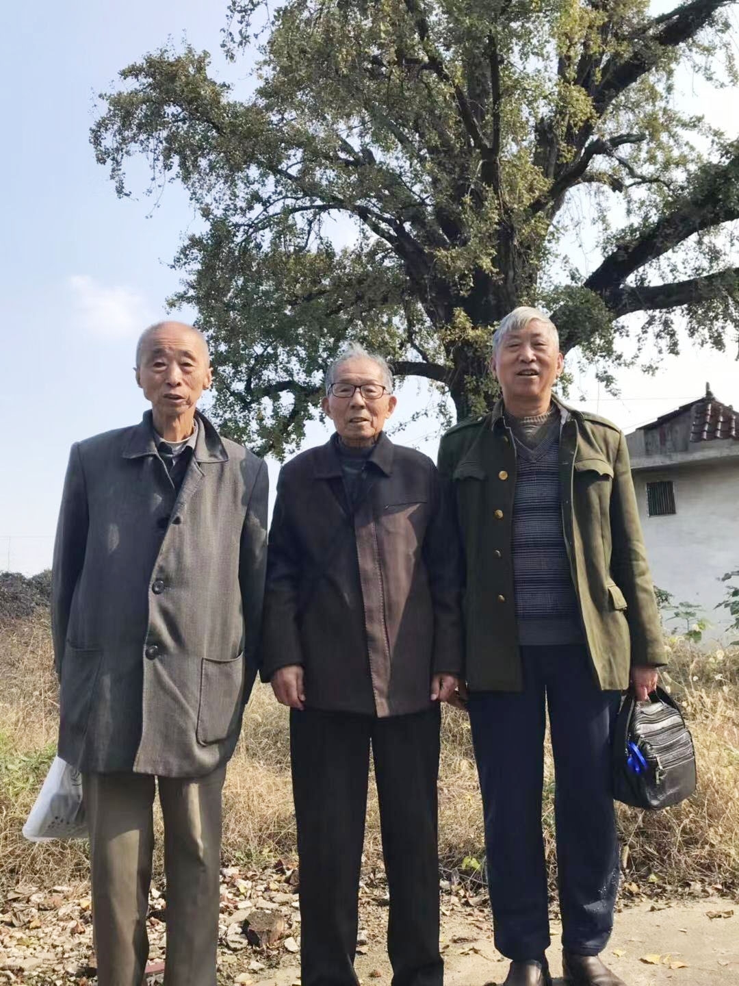 "举贤堂"下的嘶马祁氏(扬州江都嘶马)