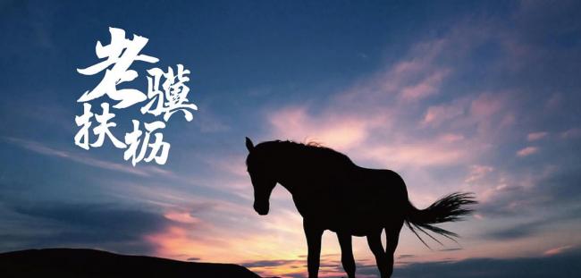 廉颇老矣,尚能饭否?