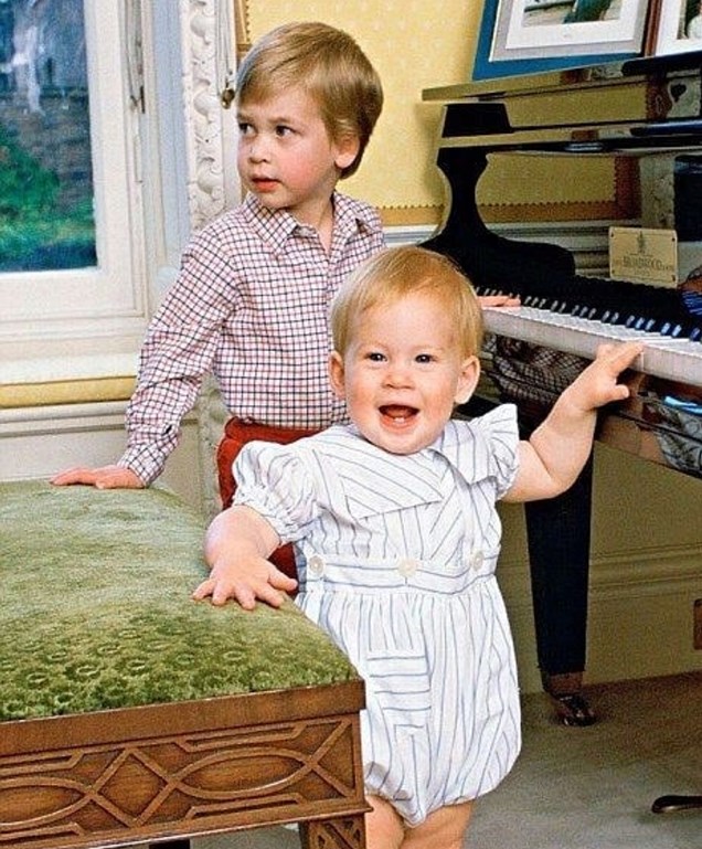 威廉王子和哈里王子,两兄弟小时候真是可爱又呆萌