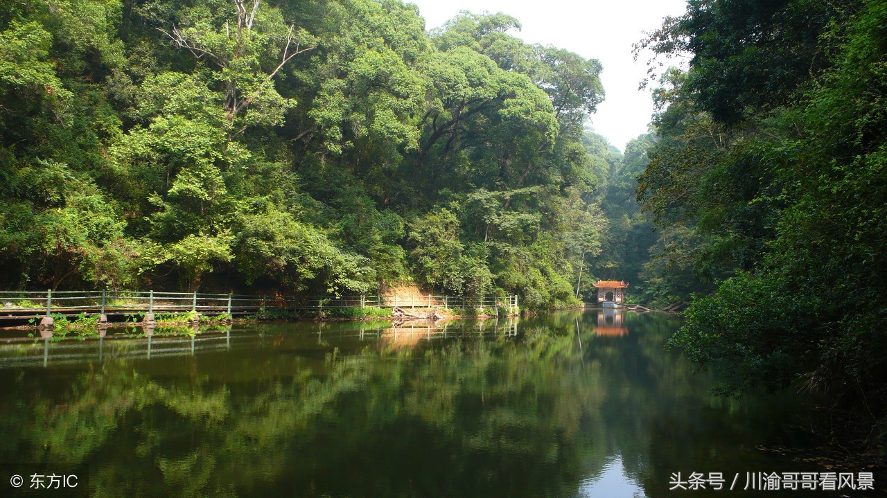 三明格氏栲国家森林公园 是国家a a a a级景区,位于三明市西南30公里