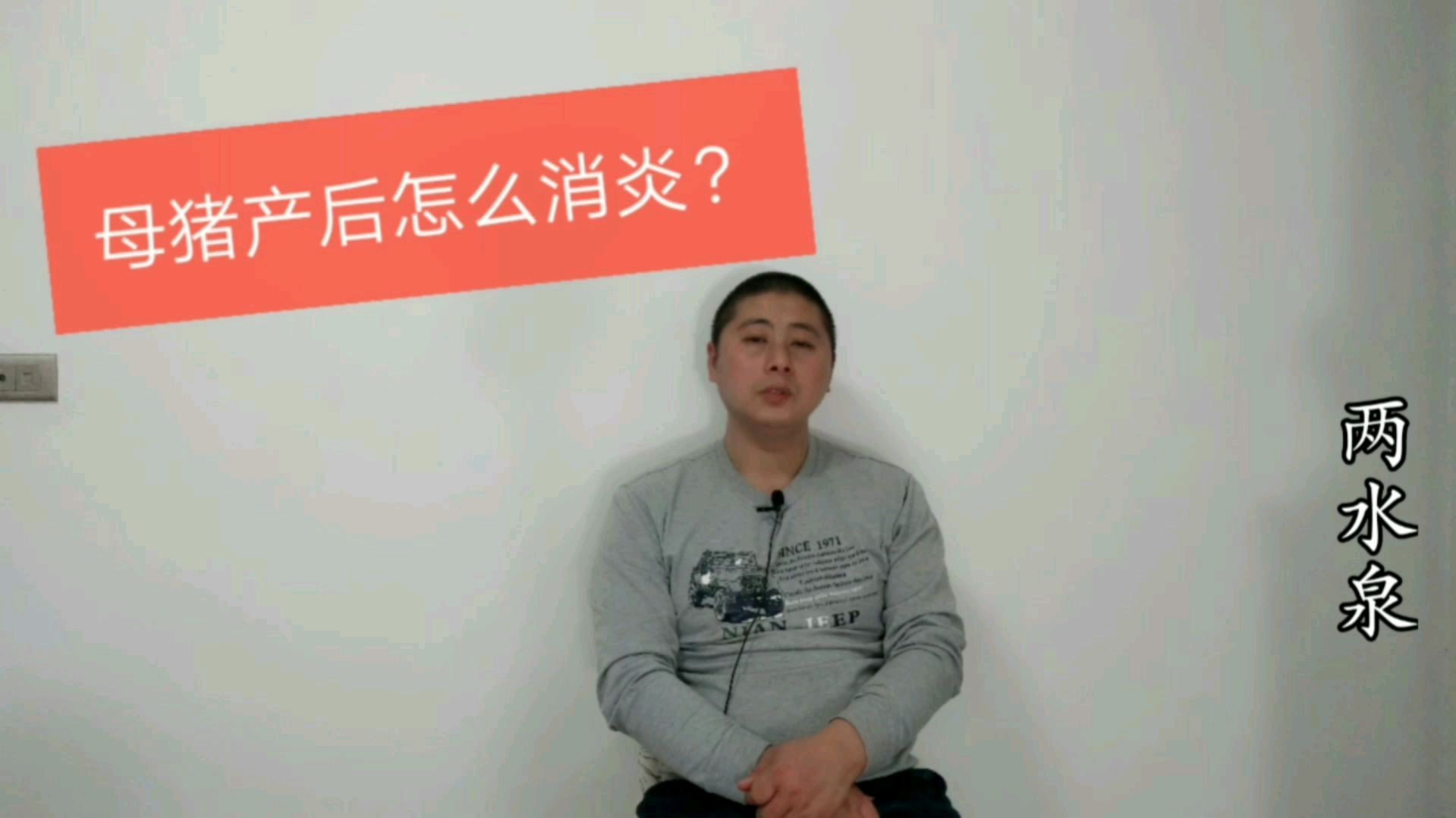 母猪产后怎么消炎效果好,记住此方案,母猪更好养