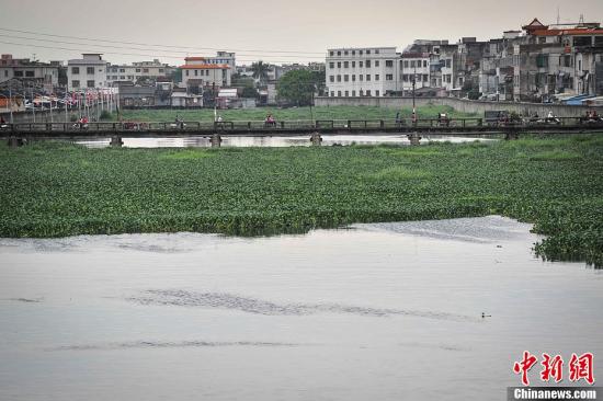 中央环保督察组:汕头市对练江污染视而不见