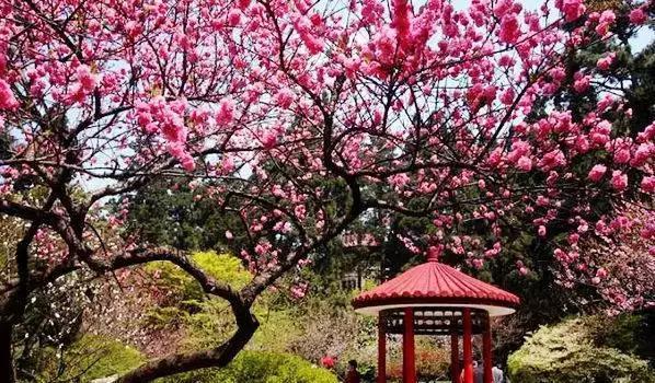 大林寺,西林寺,东林寺是庐山"三大名寺"之一.