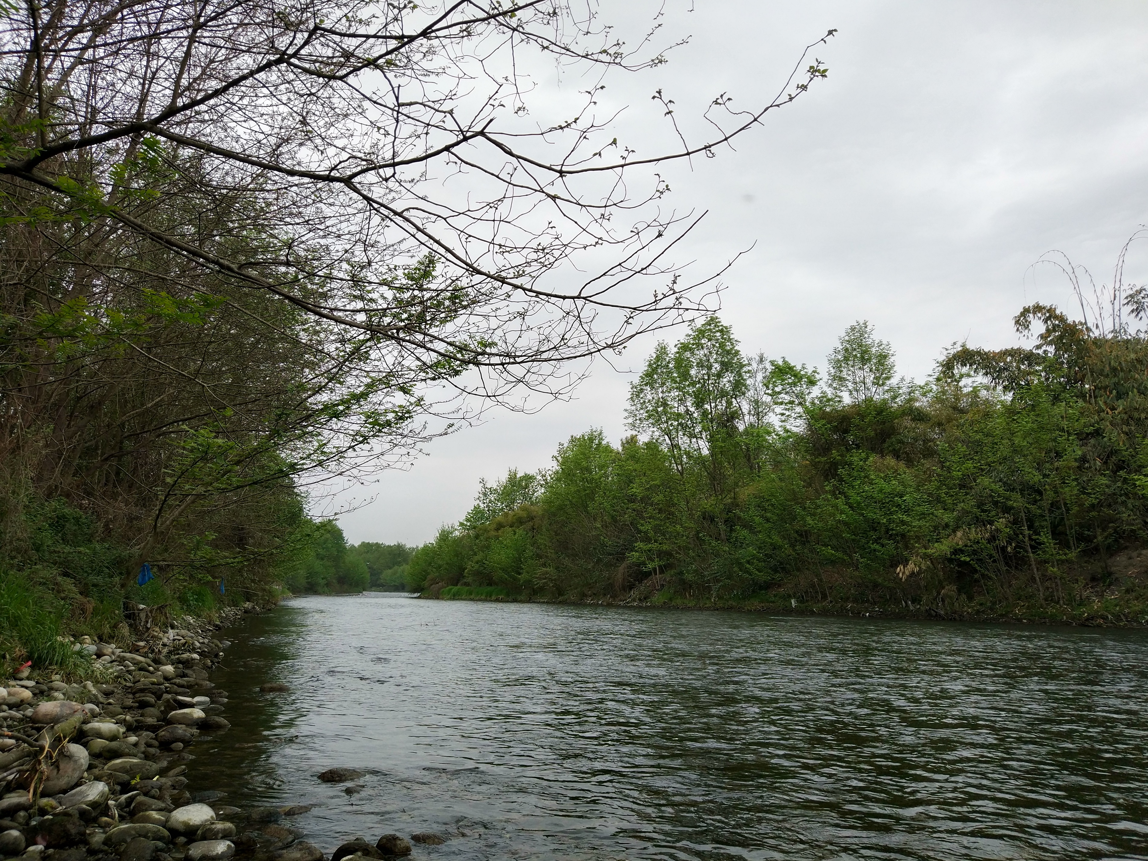 骑游巴蜀之温江江安河绿道