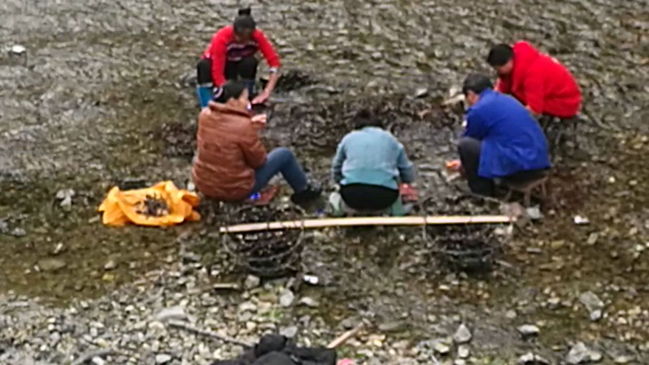 疫情防控期间,农村人喜欢挖的什么东西,白菜族知道是干啥用吗