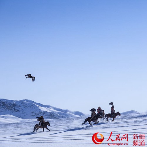 实拍哈萨克族马背上的驯鹰人"与鹰共舞"