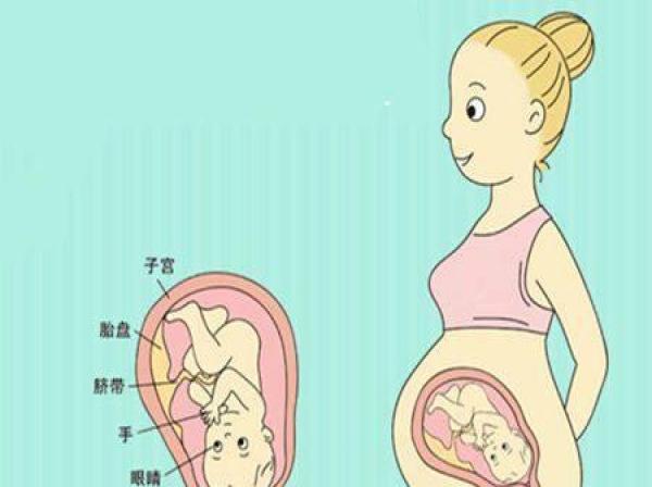 孕期胎儿宫内发育迟缓,和这3个因素有关,孕妈应该如何避免呢?