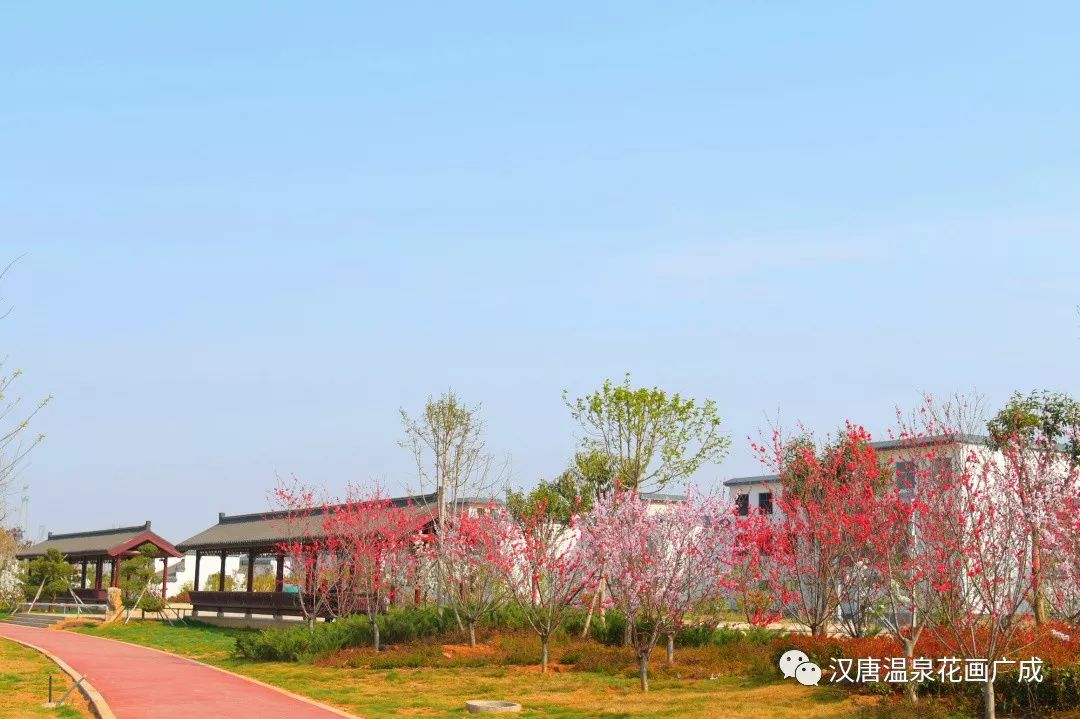 汝州市温泉镇:打造富裕优美的新农村