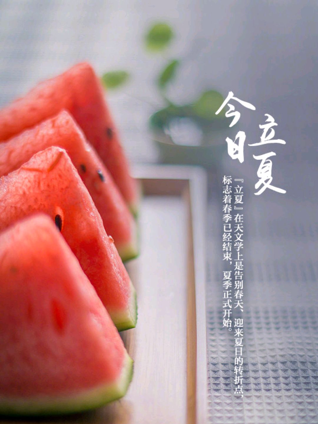 2020年最新立夏祝福语,温馨优美,立夏快乐!