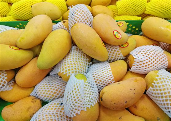 9大芒果品种,贵妃芒,小台芒味美籽小最受欢迎,鹰嘴芒味道最怪