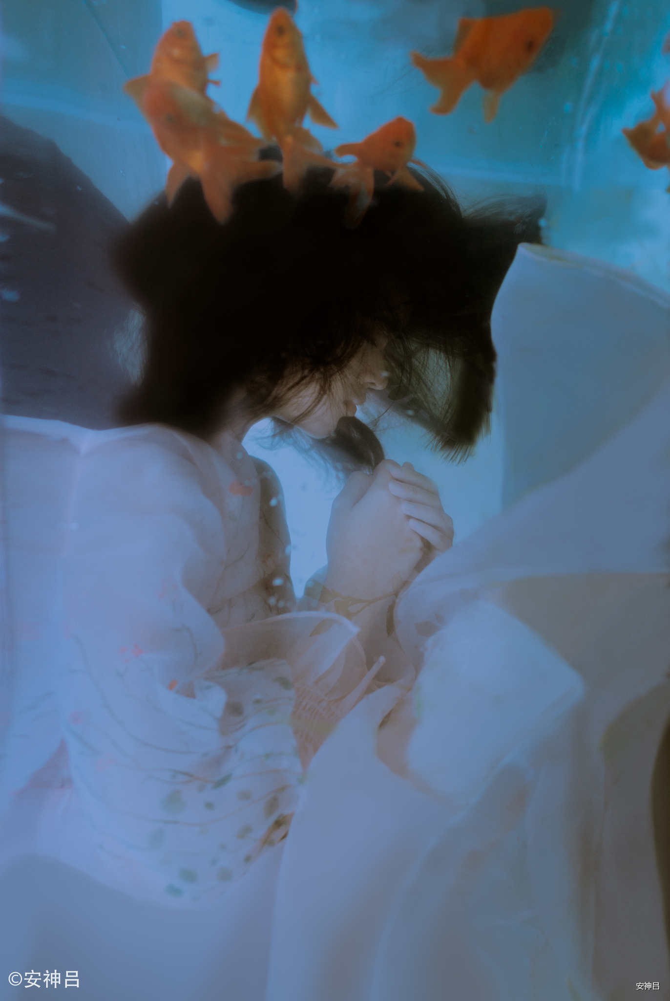 水下摄影:我是一只悲伤沉默呼吸的鱼!