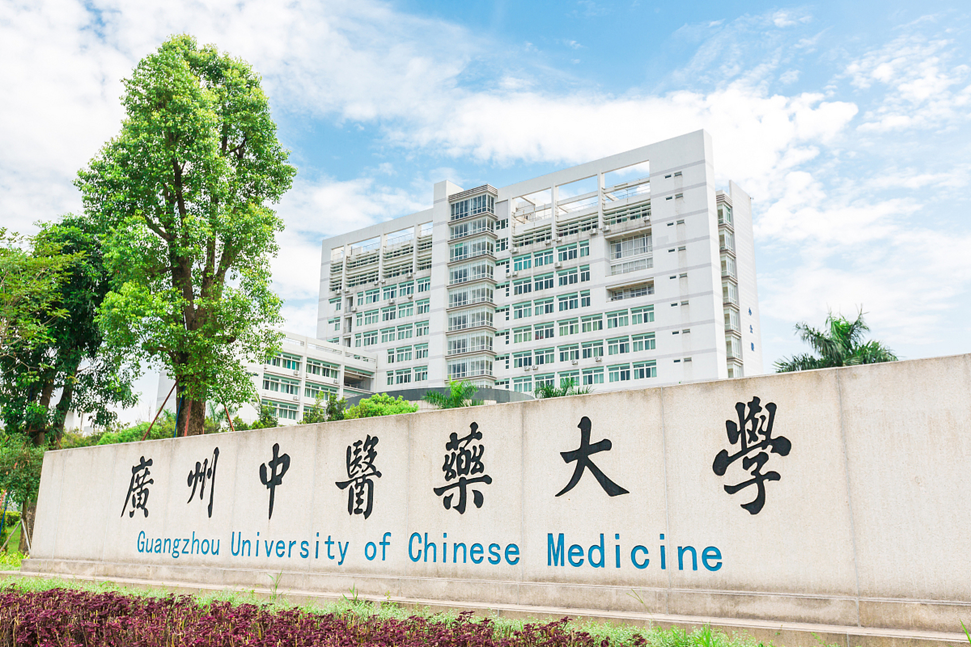 广州中医药大学(guangzhou university of chinese medicine)是中国的
