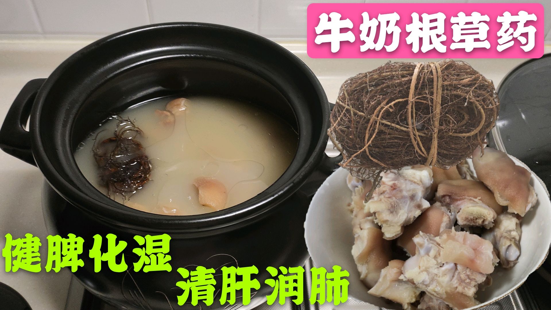 家人爱喝牛奶根煲汤,不仅汤鲜美,营养价值高,这草药你家乡有吗