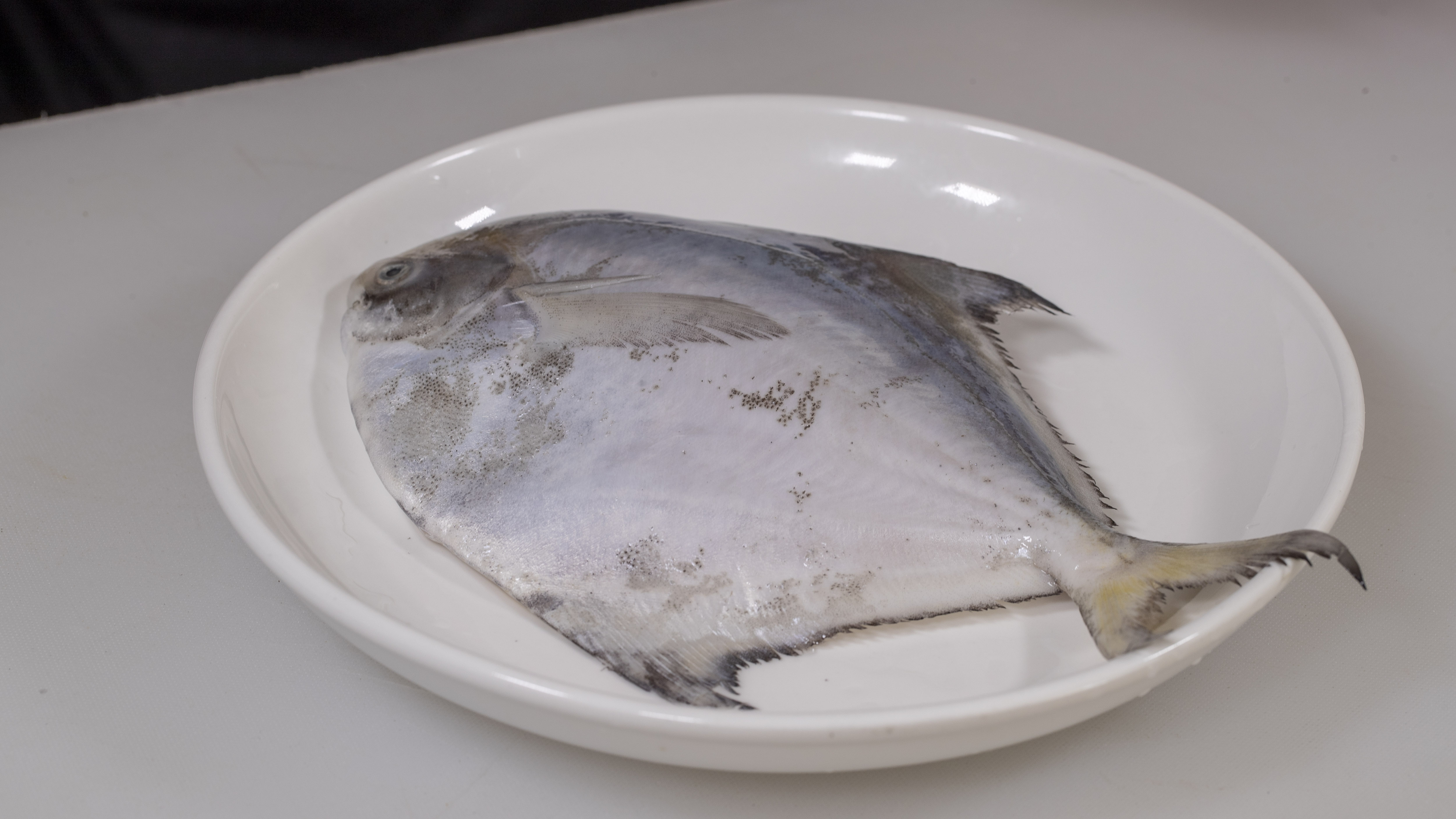 清蒸鲳鱼加肉末出锅的肉质更加鲜甜,做法简单只要两步适合在家做