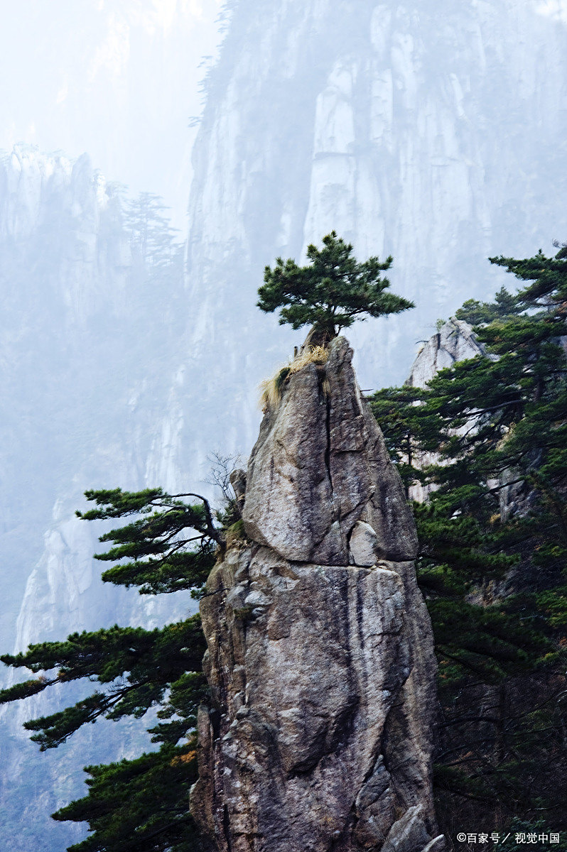 黄山奇石什么样的特点