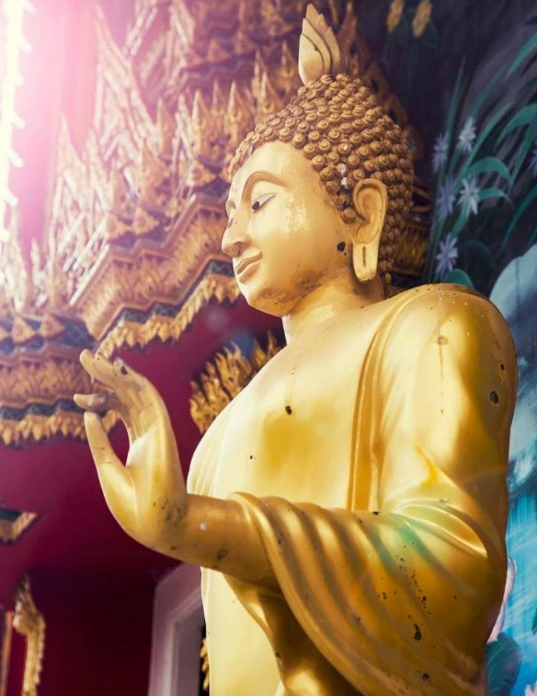 对于有没有来世,世间皆苦,为何让人当比丘,佛陀是如何智慧回答