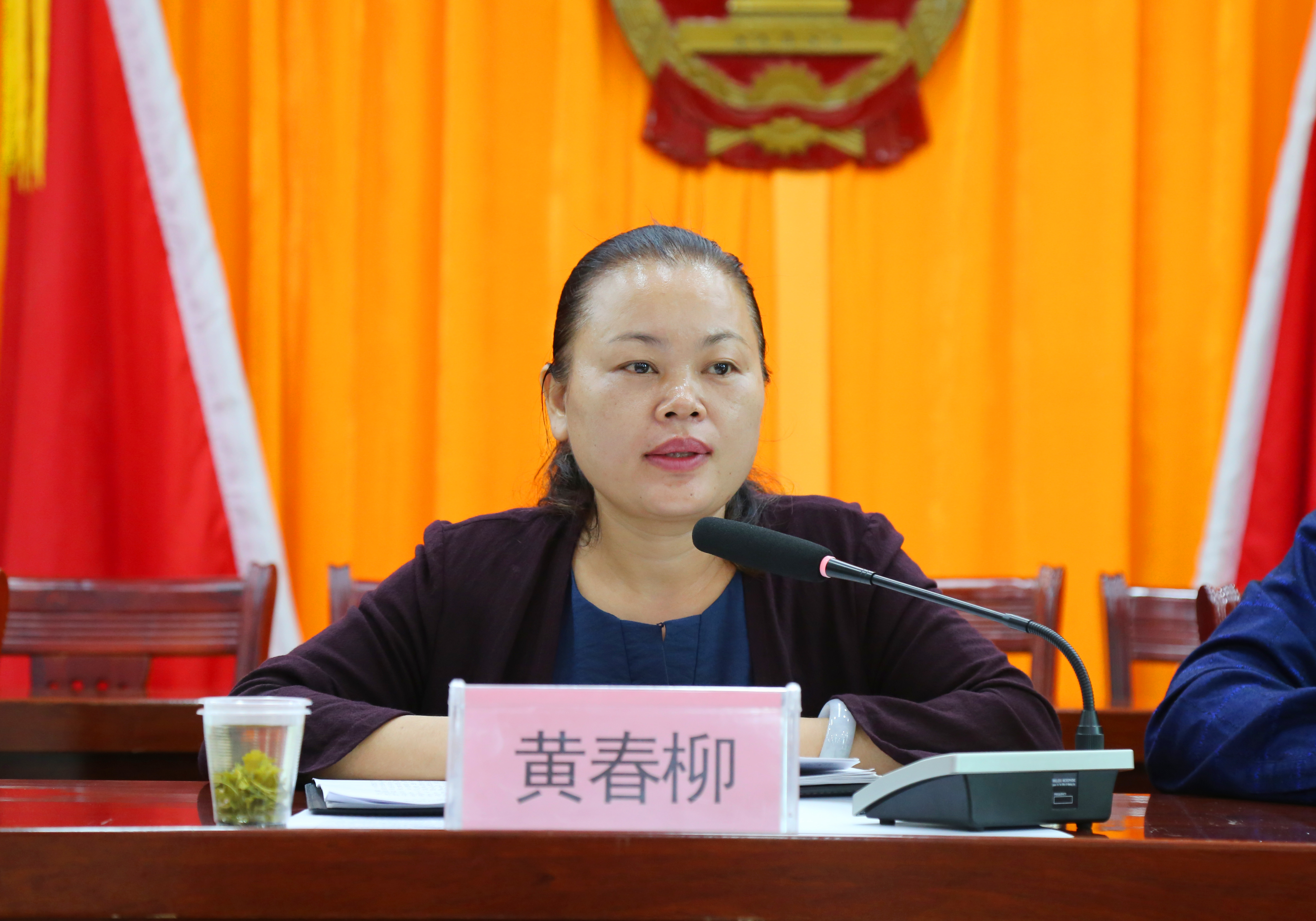 县委常委,宣传部部长,副县长黄春柳出席会议并讲话.