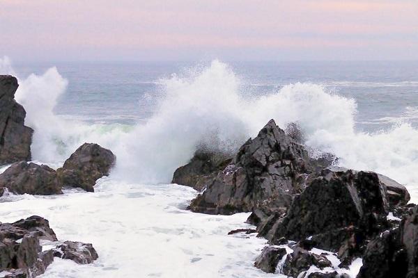 如何在风天,运用矶钓技巧?