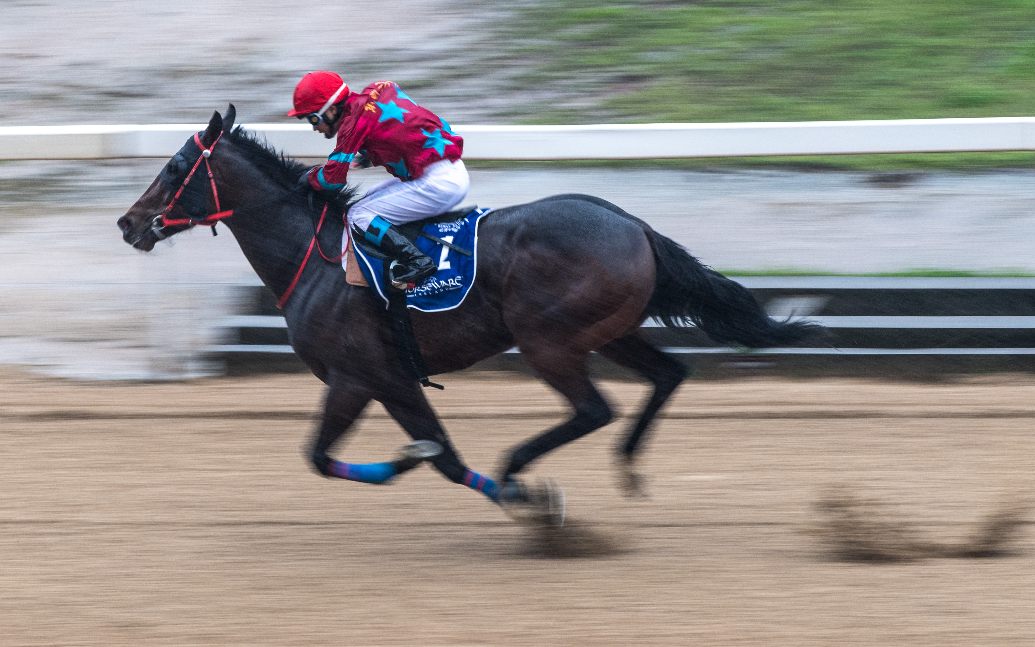 赛马——2018武汉速度赛马公开赛赛况(3)