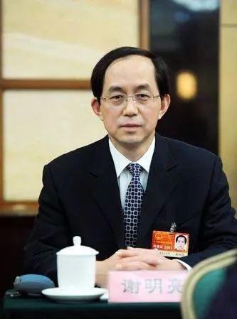 谢明亮被查!曾任菏泽市电业局局长,山东电力党委书记兼总经理