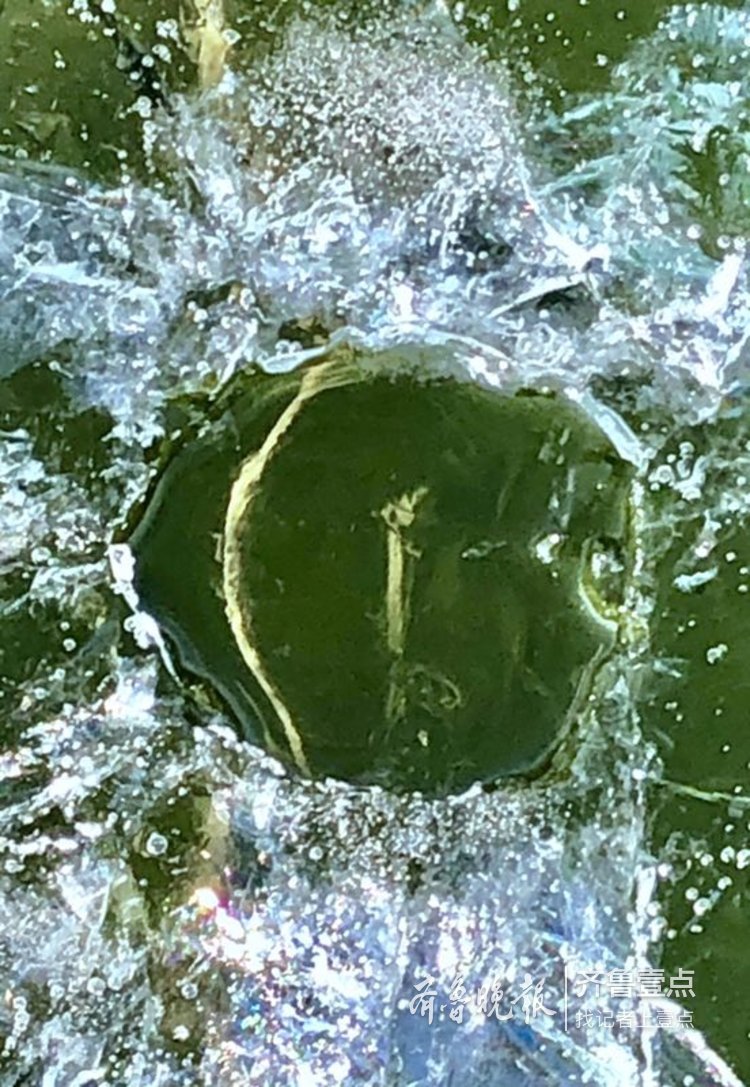 拍课堂学员 于平松 2月17日摄于济南浆水泉水库