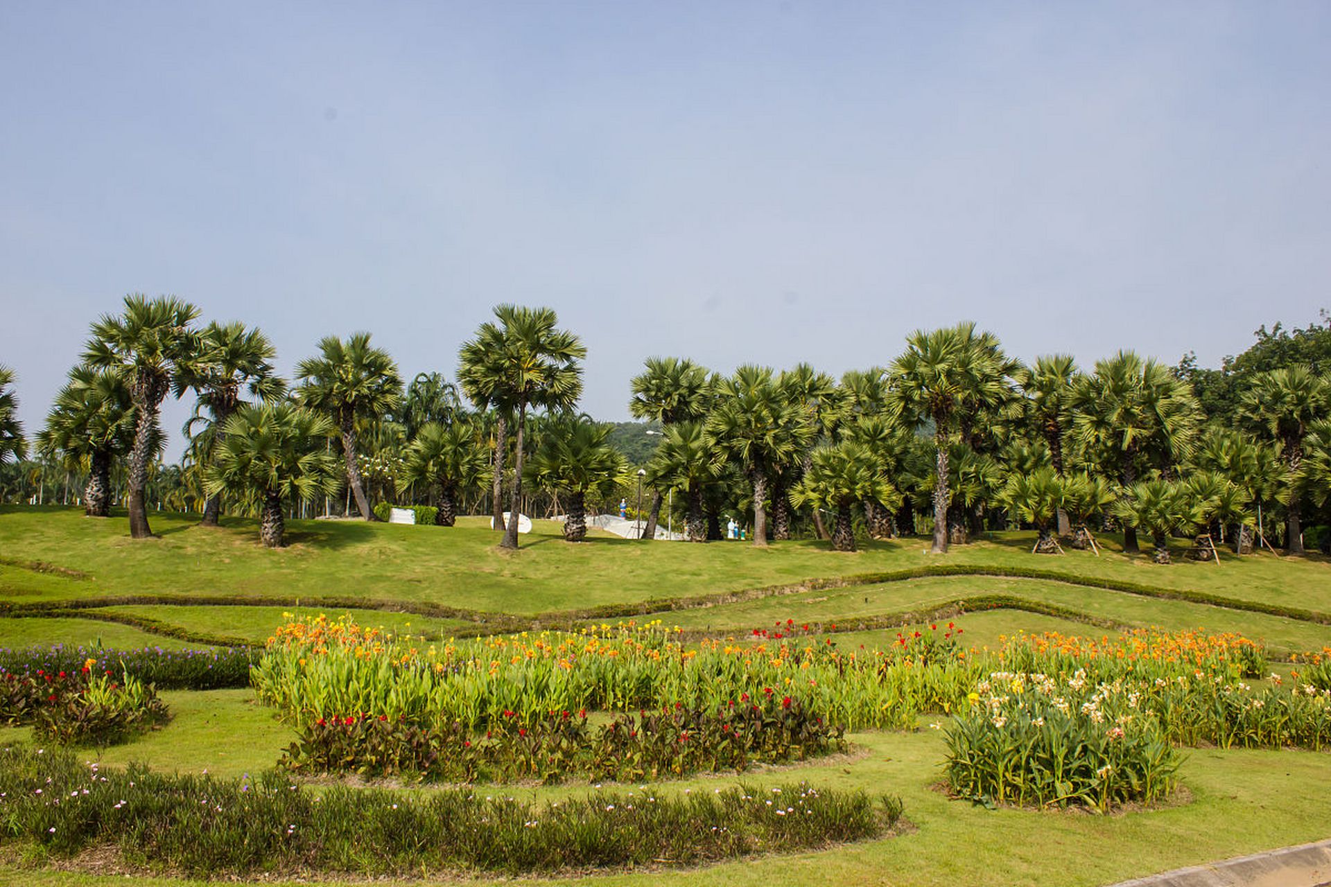 重庆植物园 照母山图片