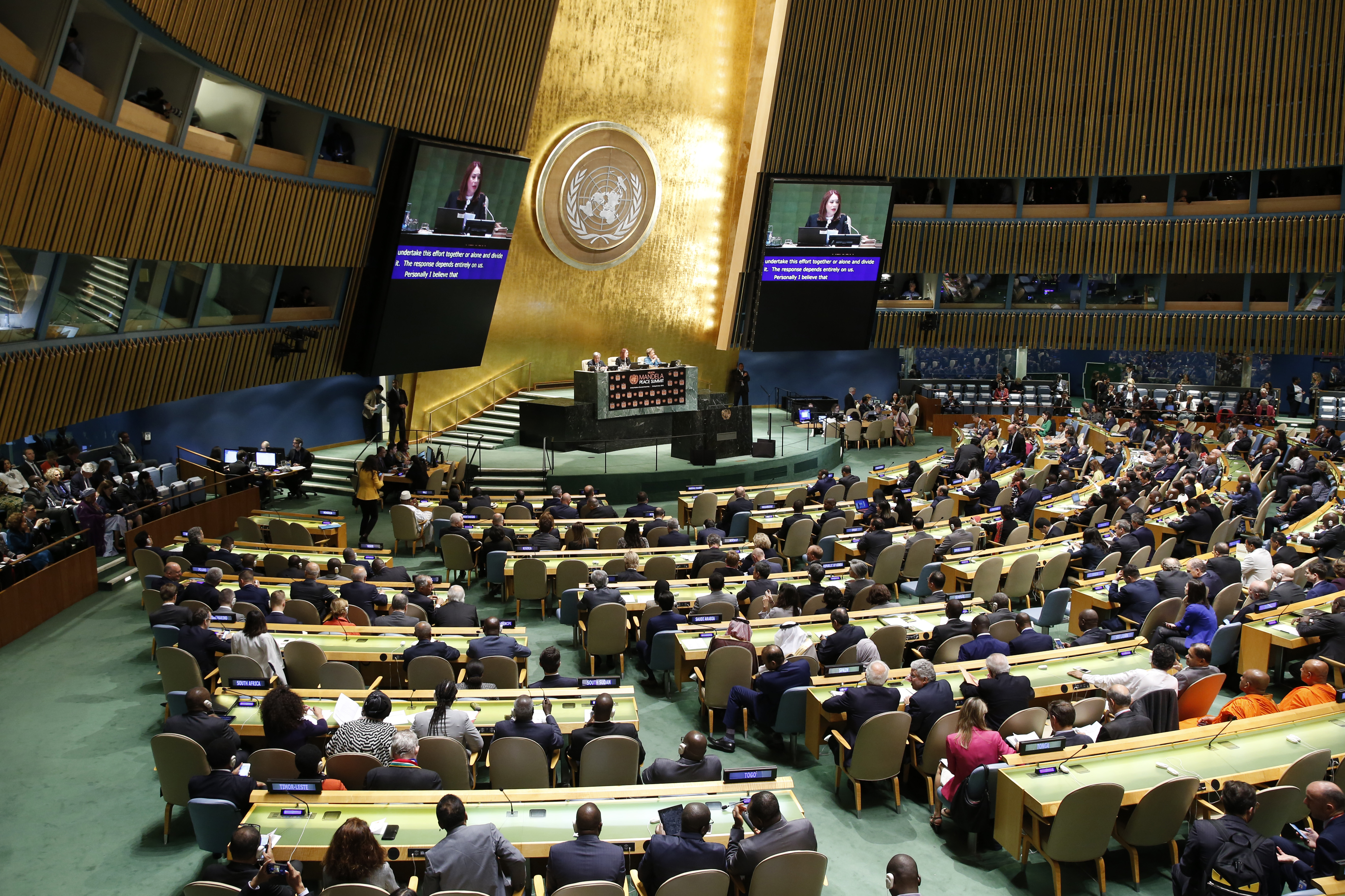 曼德拉和平峰会在联合国总部举行(1)