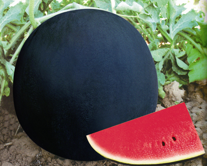 4种土豪水果,图1耗时两年,图4被誉"千年珍果"一颗要价50万