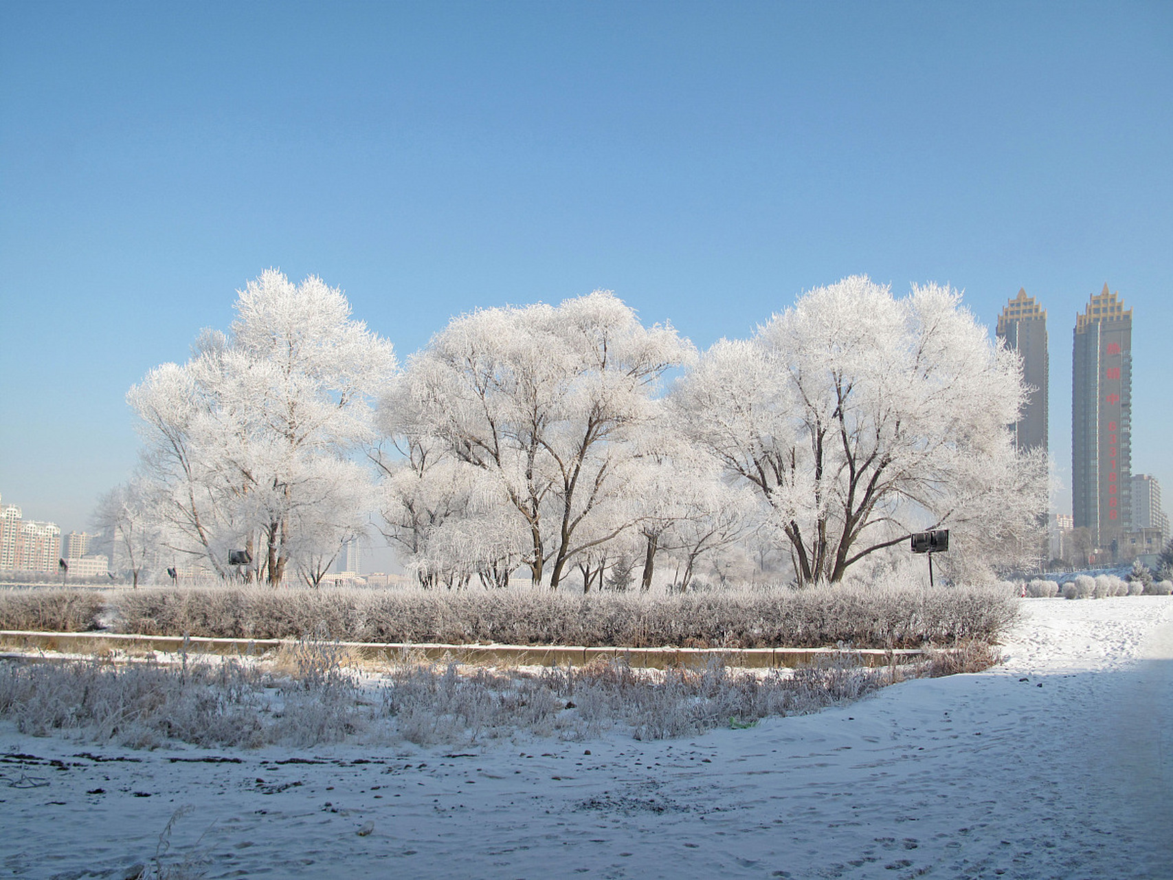 锦州雪景图片