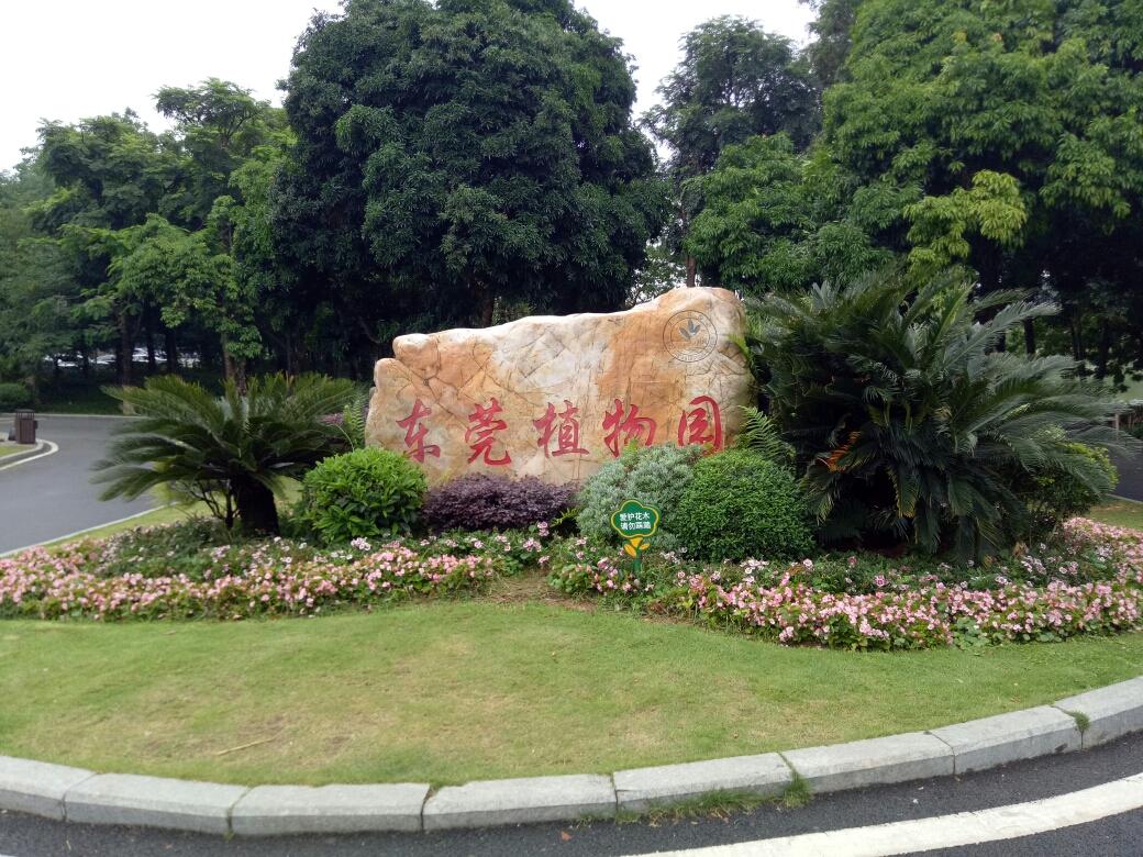 东莞植物园一日游图片