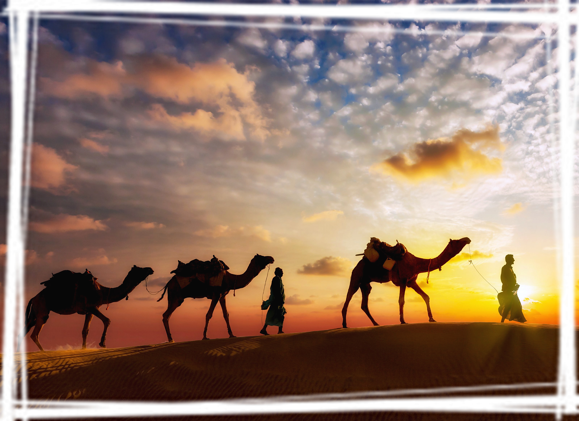 夕阳下的骆驼行人桌面壁纸