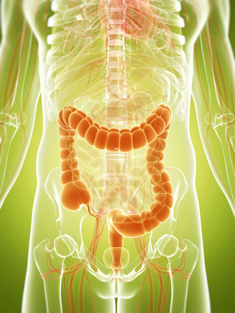 排便是人体的正常生理过程,通过排出消化系统中残留的废物和毒素,以