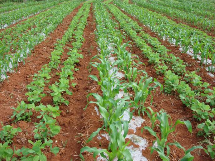 套- 热门商品专区