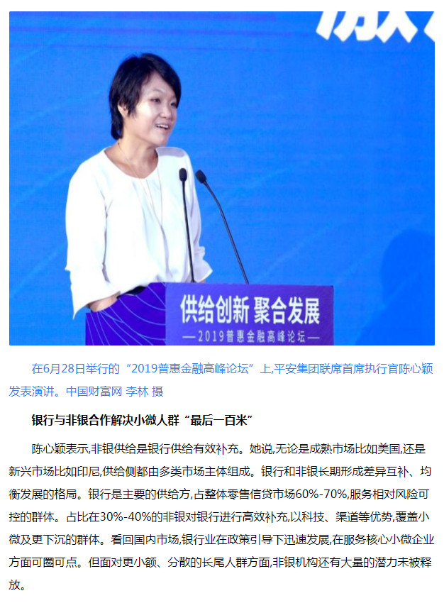 陈心颖:平安集团探索小微金融服务样本