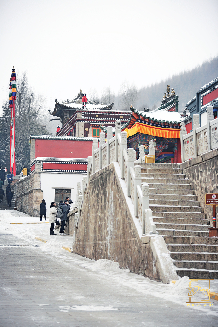 一场雪把西宁装扮得分外妖娆,心中那塔尔寺菩提树,不染世俗尘埃